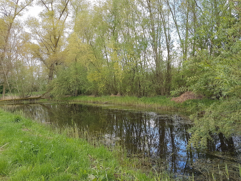 Subsidiemogelijkheden voor de aanleg van landschapselementen