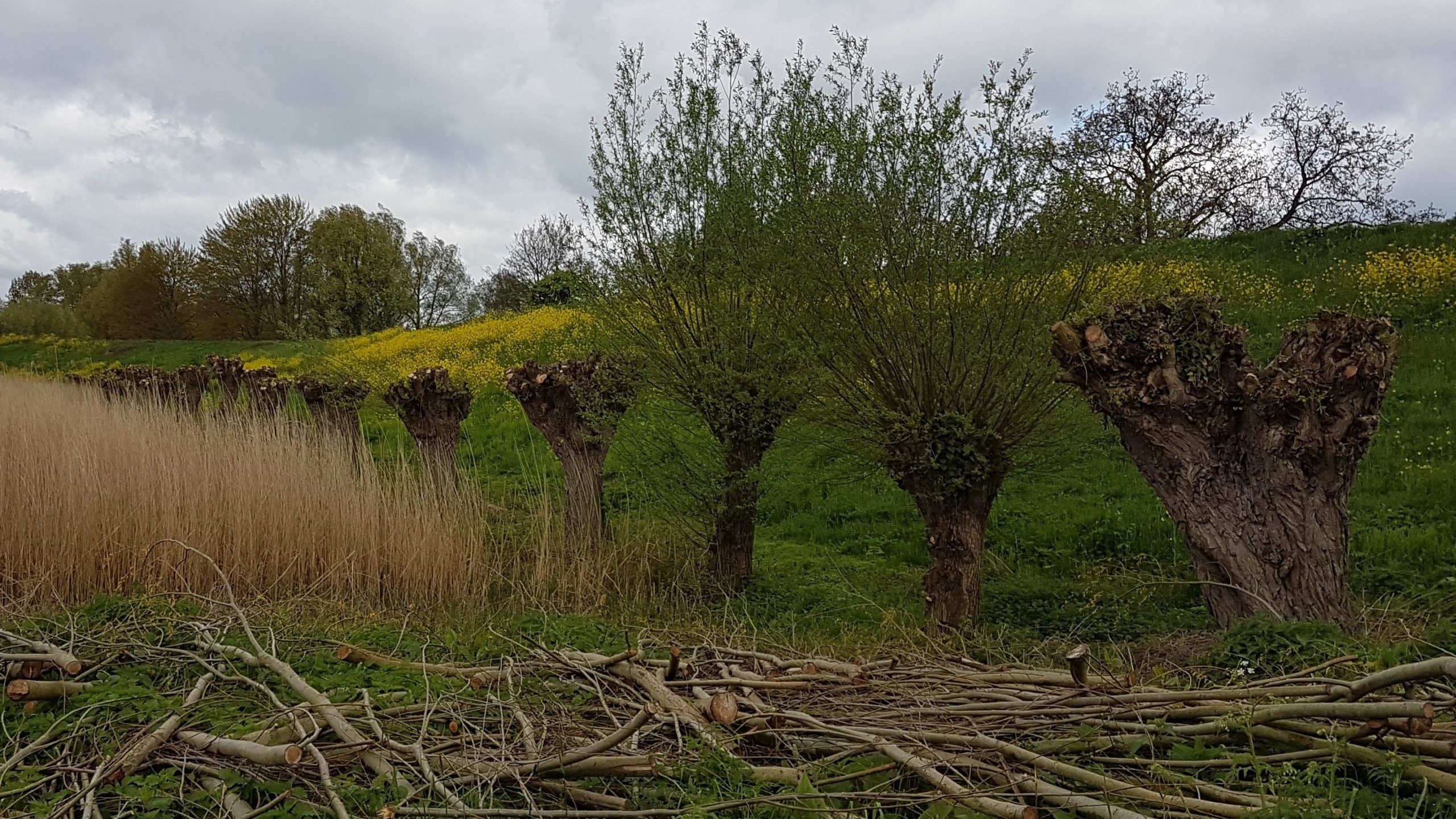 Subsidieregeling Biodiversiteit en Landschap