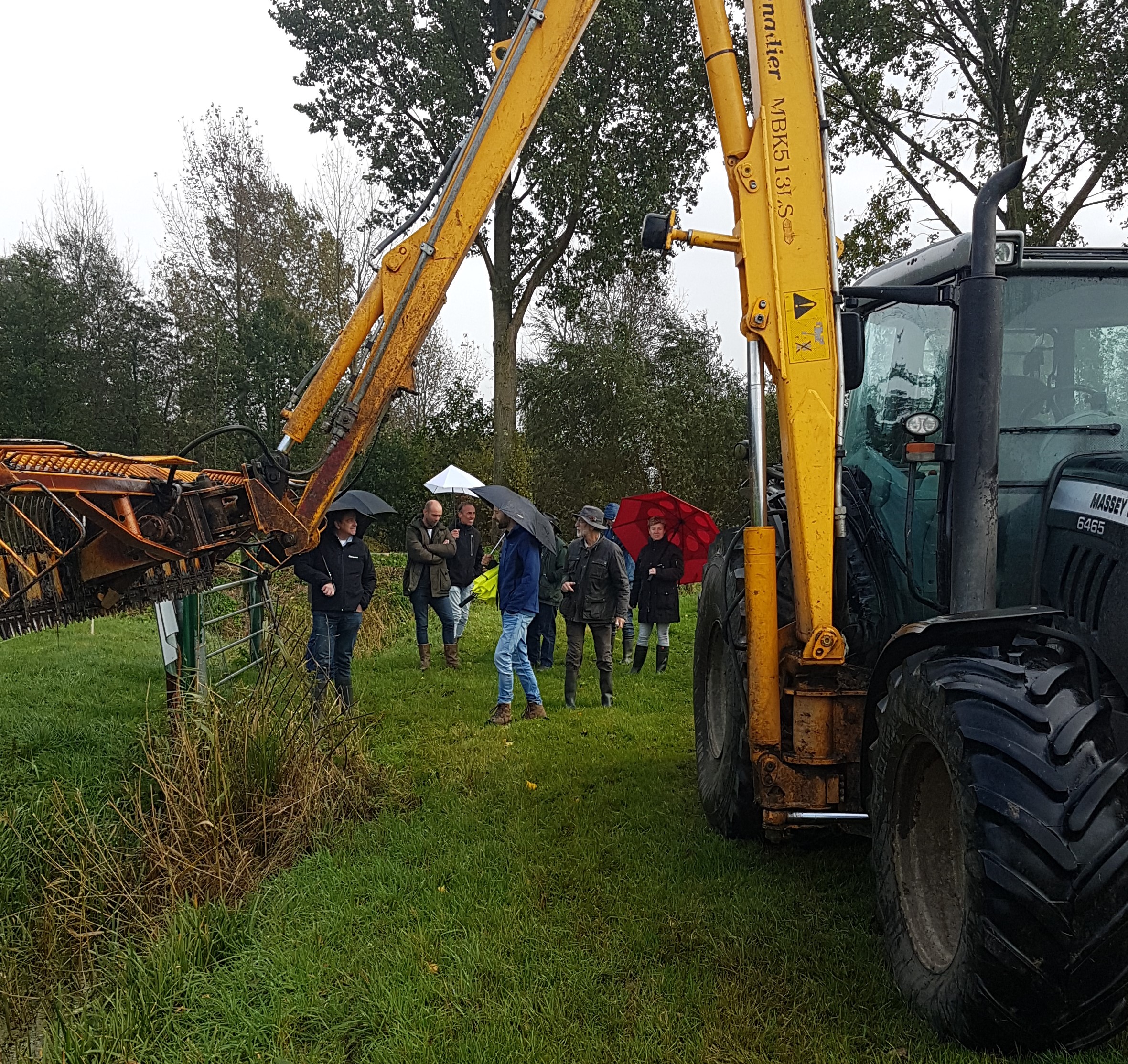 Slootschonen op een ecologische manier: voordelen voor de grote modderkruiper