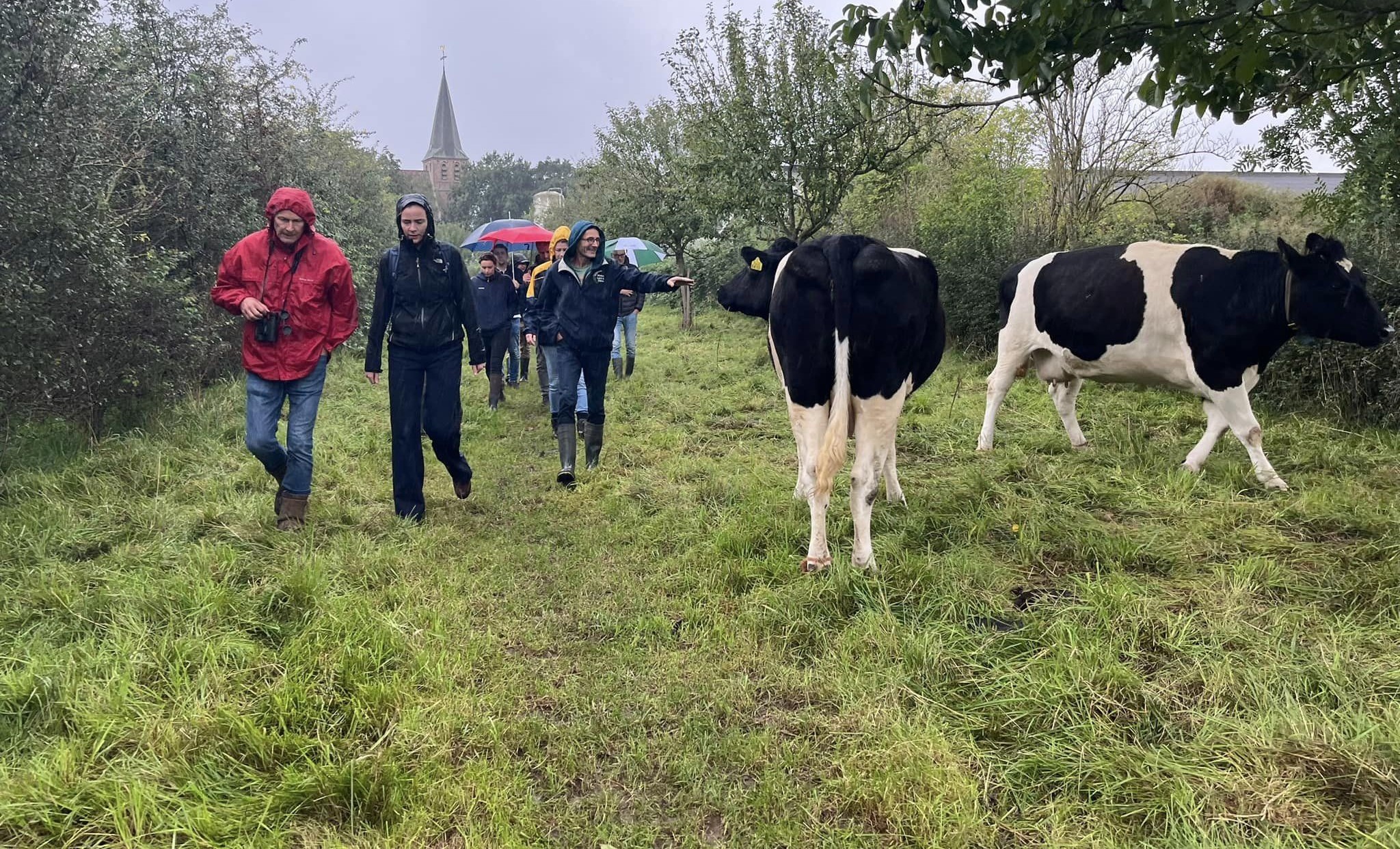 Vereniging voor landschapsbeheer de Ploegdriever zoekt een gebiedscoördinator agrarisch natuurbeheer