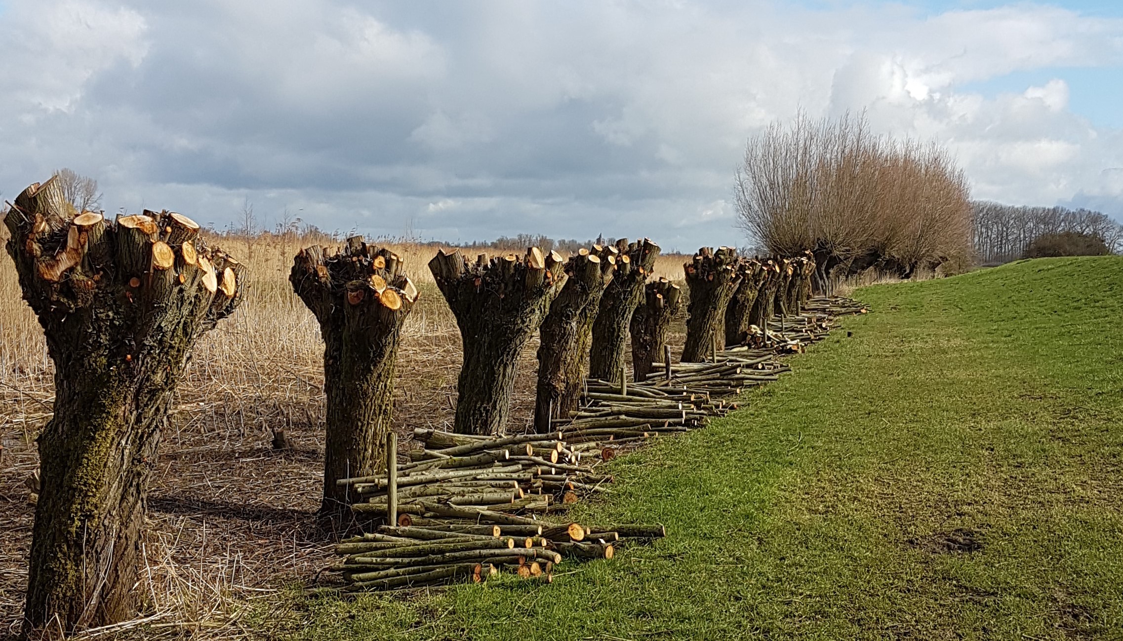 Vacature: Bestuursleden Collectief Rivierenland