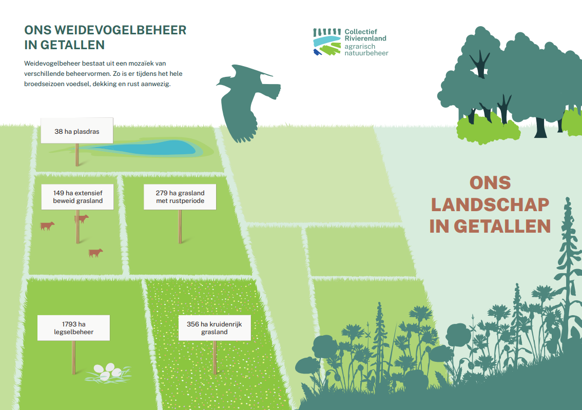 Groei agrarisch natuurbeheer in het Rivierenland