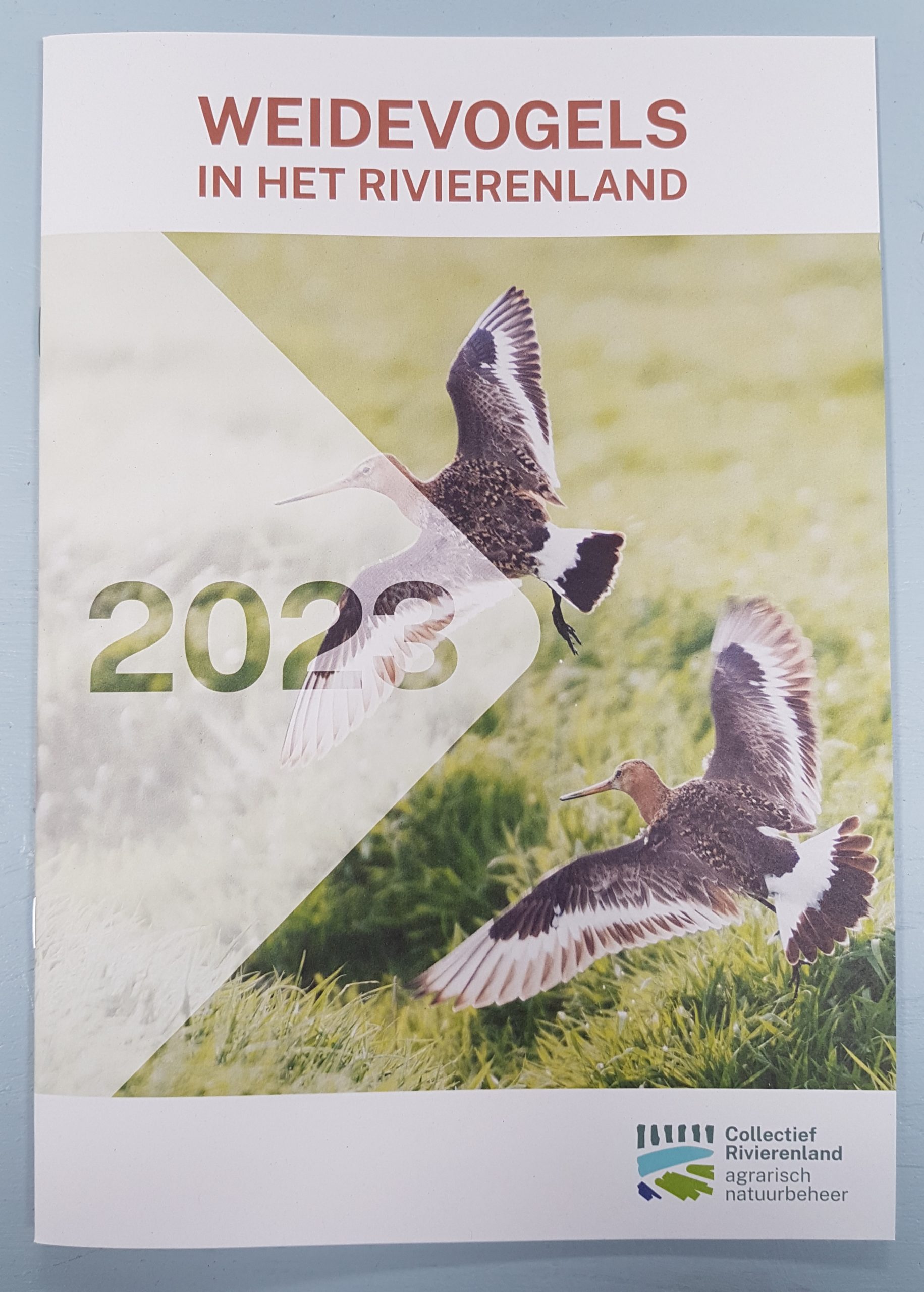 Wat zijn de resultaten van weidevogeljaar 2023?