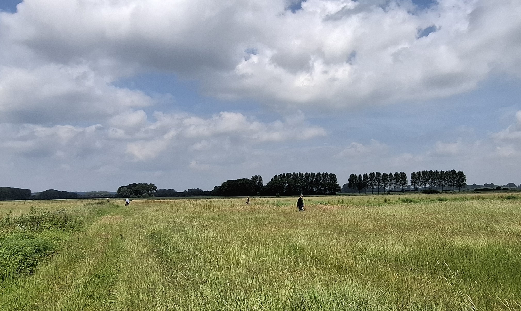 Weidevogelgezinnen tellen in het Duivense Broek