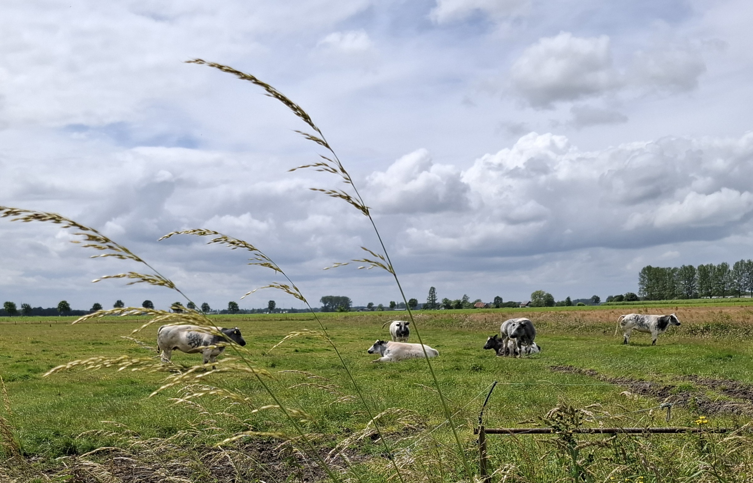 VACATURE: Bestuursvoorzitter Collectief Rivierenland