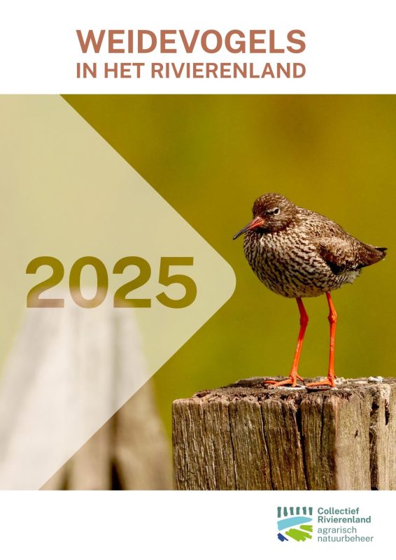 Weidevogels in het Rivierenland 2025