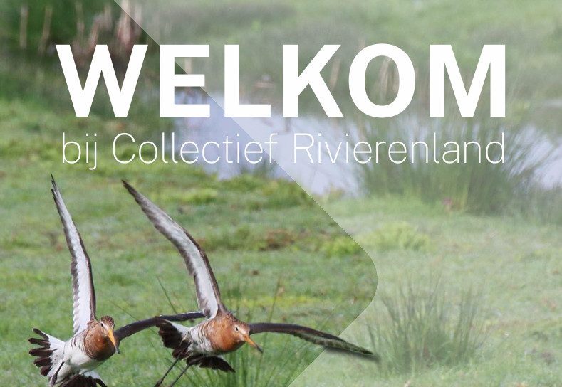 Welkomstbrochure nieuwe deelnemers