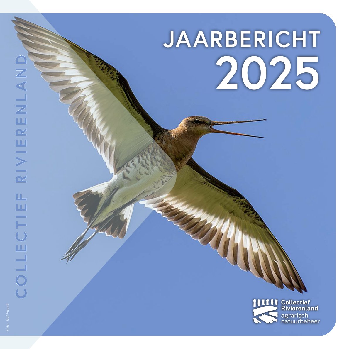Jaarbericht 2025